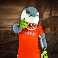 seo-si-shark